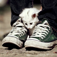 ���ڳ���ȴ������ڴ��� 