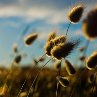 ���ڳ���ȴ������ڴ��� 