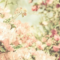 Ψ����qq��̬�羰ͷ��_���޻���