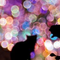 ������Ц��,�Ƿ���Զ������������ 