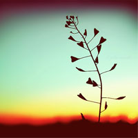 �ڴ����氮�����Ҹ��ľ��� 