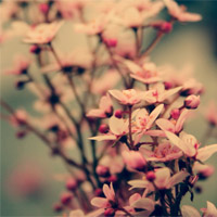 �ڴ����氮�����Ҹ��ľ��� 