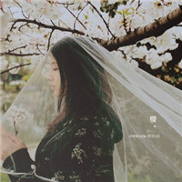 ��ϵ��ը����� �����������ڲ�ͬ��С����