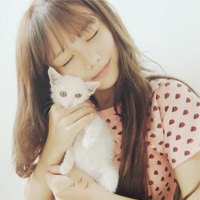 �������µ�ͷ����һ�������������ʶ