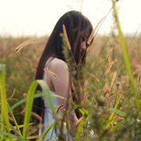 �������Ի��ͷ�� ���ַ��