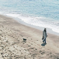 �⾳����QQͷ�� ������Ƭ��