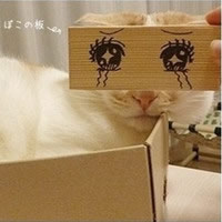 ��ͨ��QQ����ͷ�����ţ����ǵİ�ֻΪ�˳���