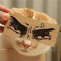 ��ͨ��QQ����ͷ�����ţ����ǵİ�ֻΪ�˳���