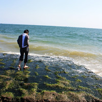 �й���ϲŭ����˭�ᶮ