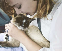 ŷ��Ůͷ ��Щ���ɲ������