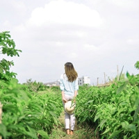 ������ ��Ҫ�ĸ���Feel