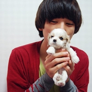 ��˧���Ŀɰ���̬����ͷ��ͼƬ�����ů�ѱ�����ʹ����Ц