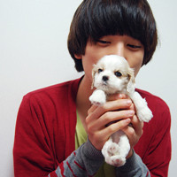 ���ŵķ���������ͷ�񣺰��˾�Ҫ������