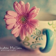 ����ʵΨ���羰ͷ������һ˲��ʱ��·�ͣ�Ͳ�ǰ