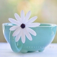 ����ʵΨ���羰ͷ������һ˲��ʱ��·�ͣ�Ͳ�ǰ