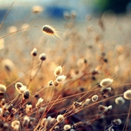 ����ʵΨ���羰ͷ������һ˲��ʱ��·�ͣ�Ͳ�ǰ