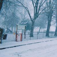 ǳϧ���ٶ���Ϯ ���ܸ��ҵ�����������