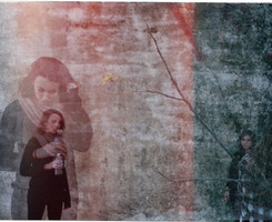 ŷ��ͷ���ͼ �ķϵ�������Ϊ��˭