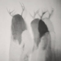 ���ʴ���Сŷ�� ��������