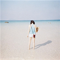 ��ֻ��С����ͷ��