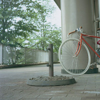 ��ֻ��С����ͷ��