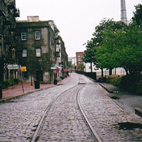 ��ֻ��С����ͷ��