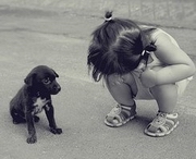 �����Ŀɰ�С����qqͷ����������÷������С����