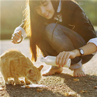 ����ĺ����ĵ�ȥһ��һ���� ϣ������ϲ��