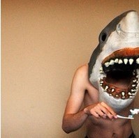 �������Ҹ� ��������Ʋ��