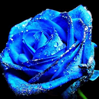 Ψ����ɫ������ɫõ��ͷ��,�������ɫ������ʷǷ�