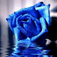 Ψ����ɫ������ɫõ��ͷ��,�������ɫ������ʷǷ�