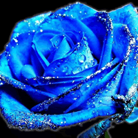 Ψ����ɫ������ɫõ��ͷ��,�������ɫ������ʷǷ�