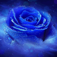 Ψ����ɫ������ɫõ��ͷ��,�������ɫ������ʷǷ�