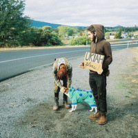 ��һ����ֻ����Զ�����ĵ�