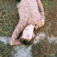 ��һ����ֻ����Զ�����ĵ�