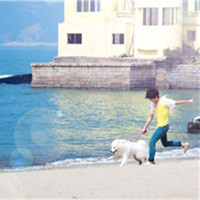 ���Ѿ�������Щ�� ����Զ���ص�