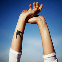 ����ͷ�� �����A�����Գ������