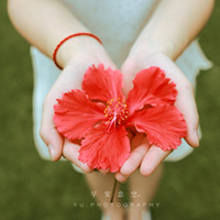 ����ͷ�������� �����Į������Ϣ