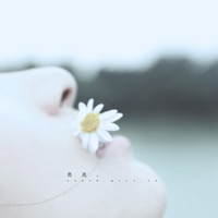 ����ͷ�������� �����Į������Ϣ