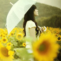 ����ͷ�������� �����Į������Ϣ