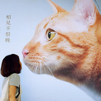 ����ͷ�������� �����Į������Ϣ