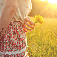 ����ͷ�������� �����Į������Ϣ