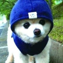 ����� ����ô������ô�ɰ�