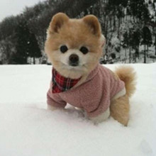 ����� ����ô������ô�ɰ�