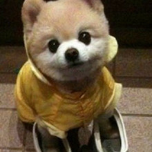 ����� ����ô������ô�ɰ�