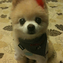 ����� ����ô������ô�ɰ�