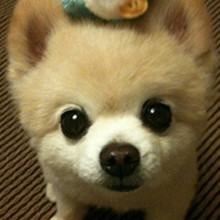 ����� ����ô������ô�ɰ�