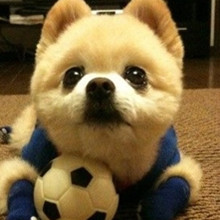 ����� ����ô������ô�ɰ�