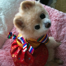 ����� ����ô������ô�ɰ�