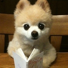 ����� ����ô������ô�ɰ�